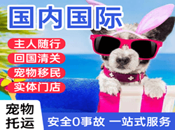 宜宾空运国际宠物托运 【国